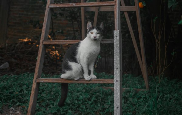 What are the future prospects for electric vehicle infrastructure in the UK?