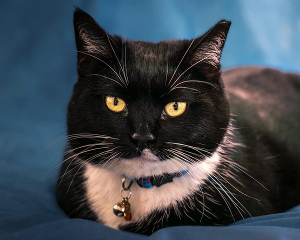 How Does the Evolution of UK Technology Impact Global Markets?